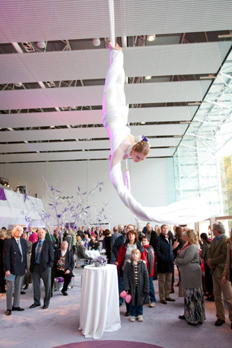 Suspension of Disbelief - Duo Silks 