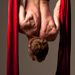 James Frith - Aerial Silks