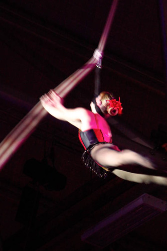 Suspension of Disbelief - Spinning Web 